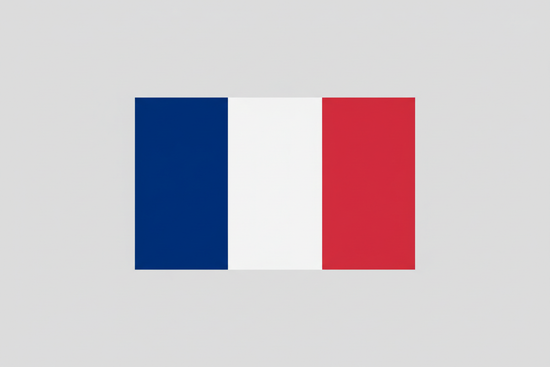 drapeau français rectangle